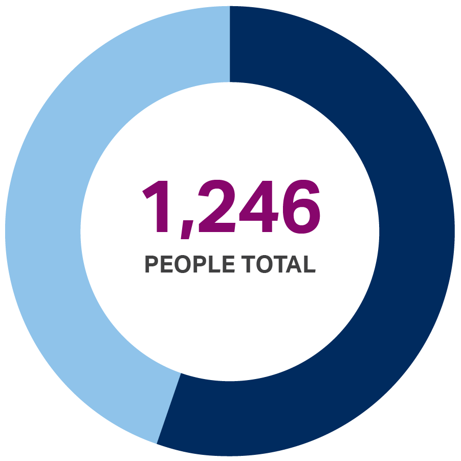 Pie chart showing 1,246 people served by Tahirih's Houston office in 2021