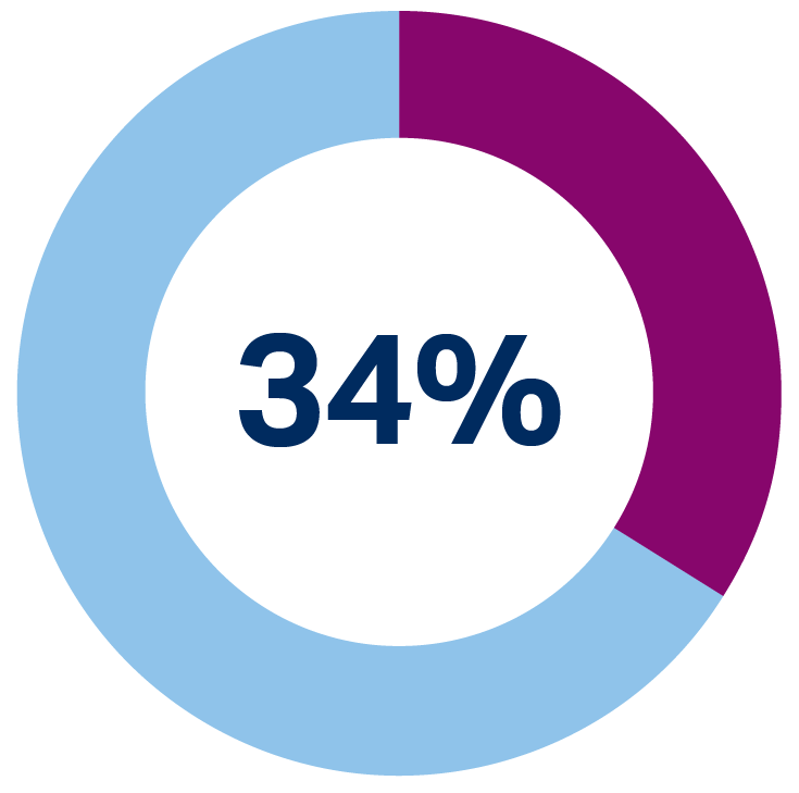 pie chart showing 34%