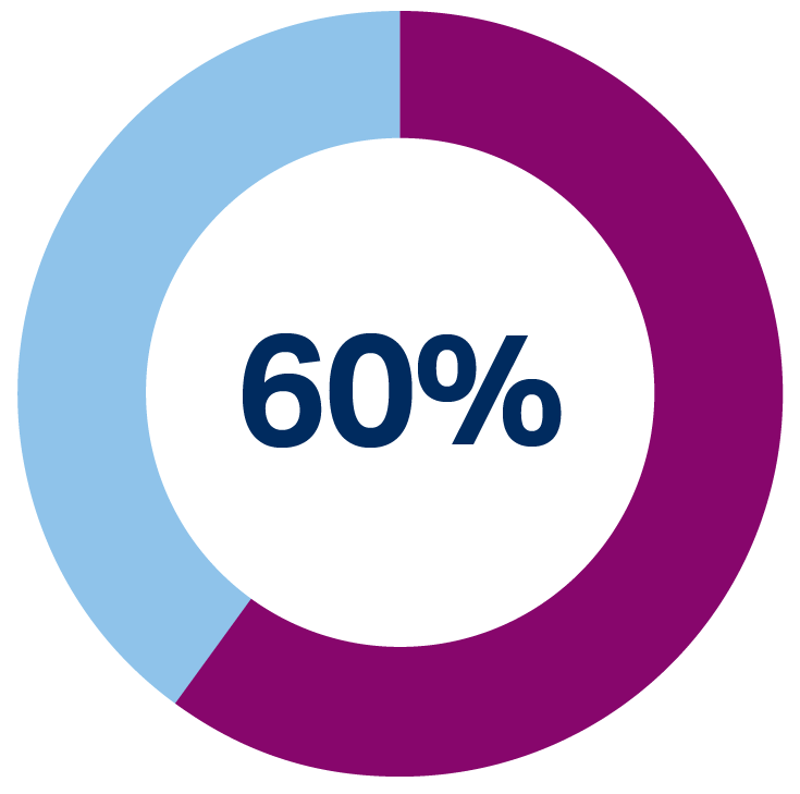 pie chart showing 60%