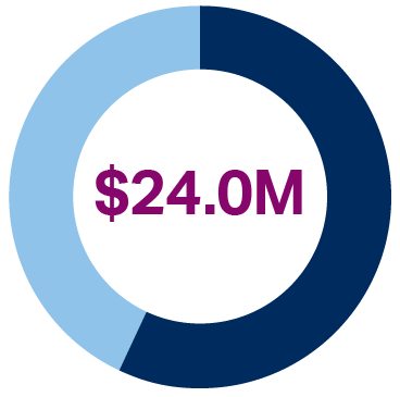 pie chart showing $24.0M in total revenue in 2022