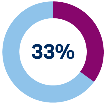 Pie chart showing 33%