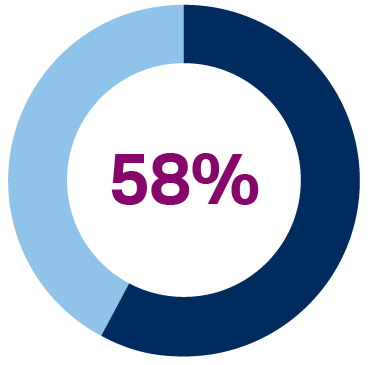 58% pie chart