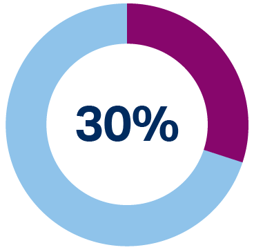 30% pie chart