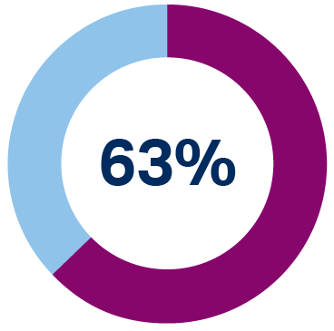 63% pie chart