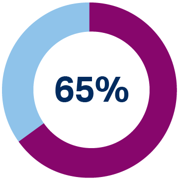 65% pie chart