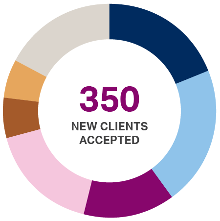 Pie chart with sections showing 350 new clients accepted